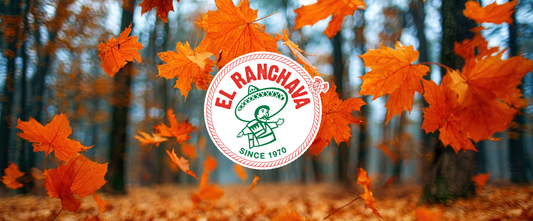 Fall is in the Air!